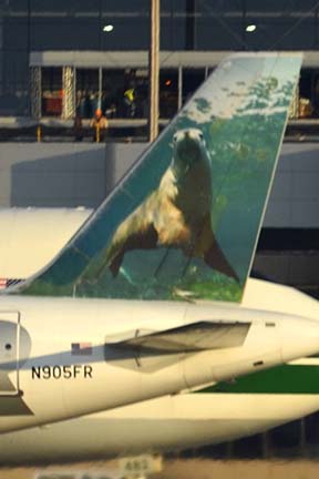 Frontier A319-111 N905FR Sherman the Sea Lion, Phoenix Sky Harbor, December 22, 2011